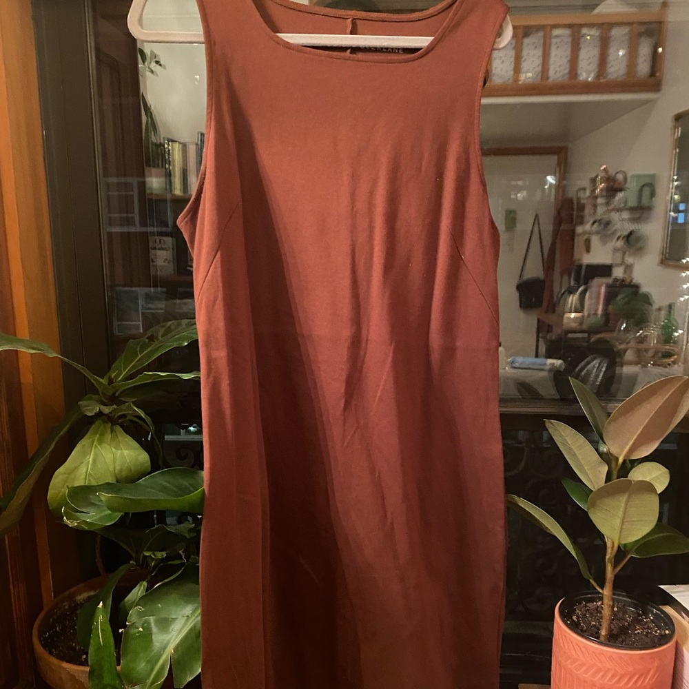 Burgundy Everlane Dress